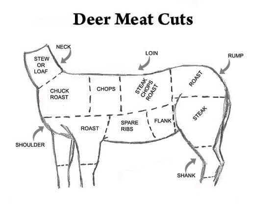 deer meat cuts diagram