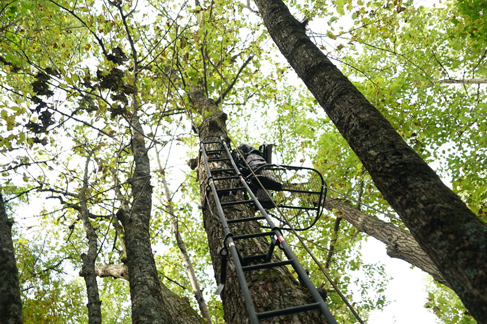 hunting equipment and tree stand