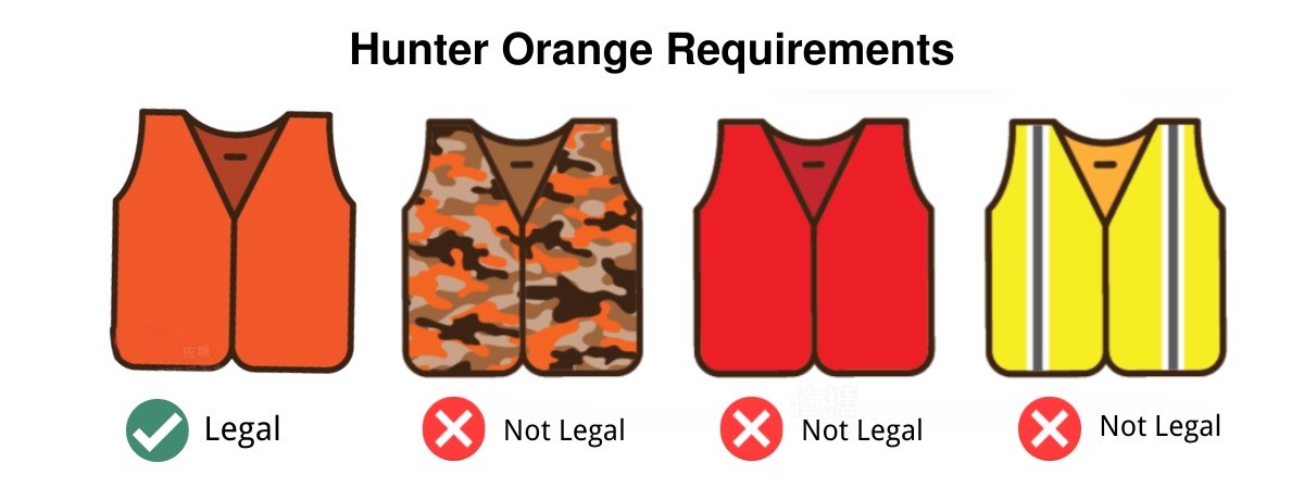 Alabama Hunter Orange Requirements