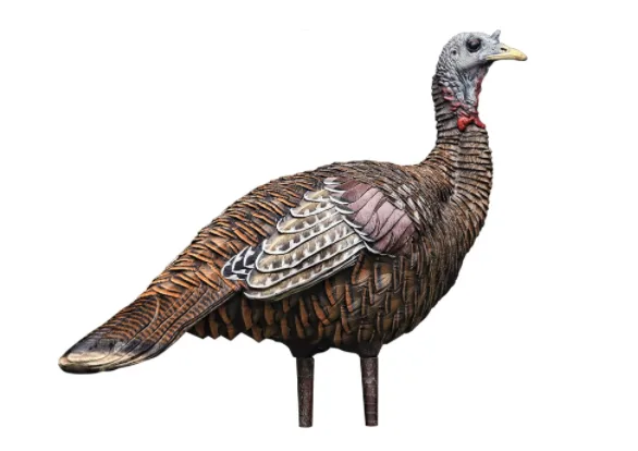 Hen Turkey Decoy