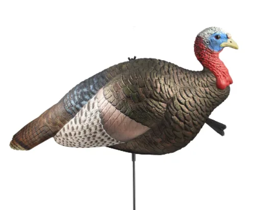 Jake turkey decoy