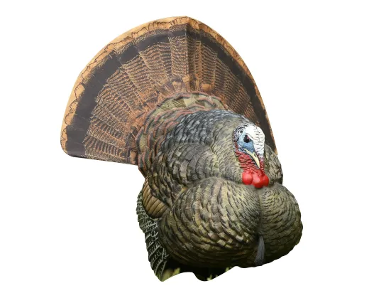 a full strut male turkey decoy