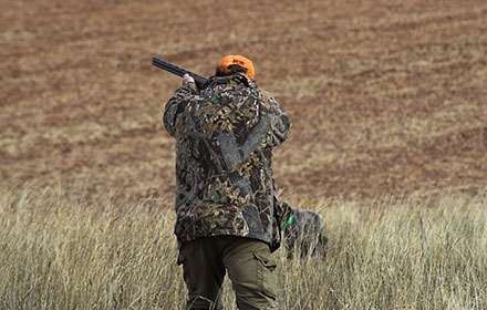 Alabama Hunting Season Dates&Rules 2024 Schedule