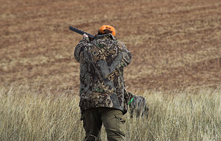 Alabama hunting season - KalKal