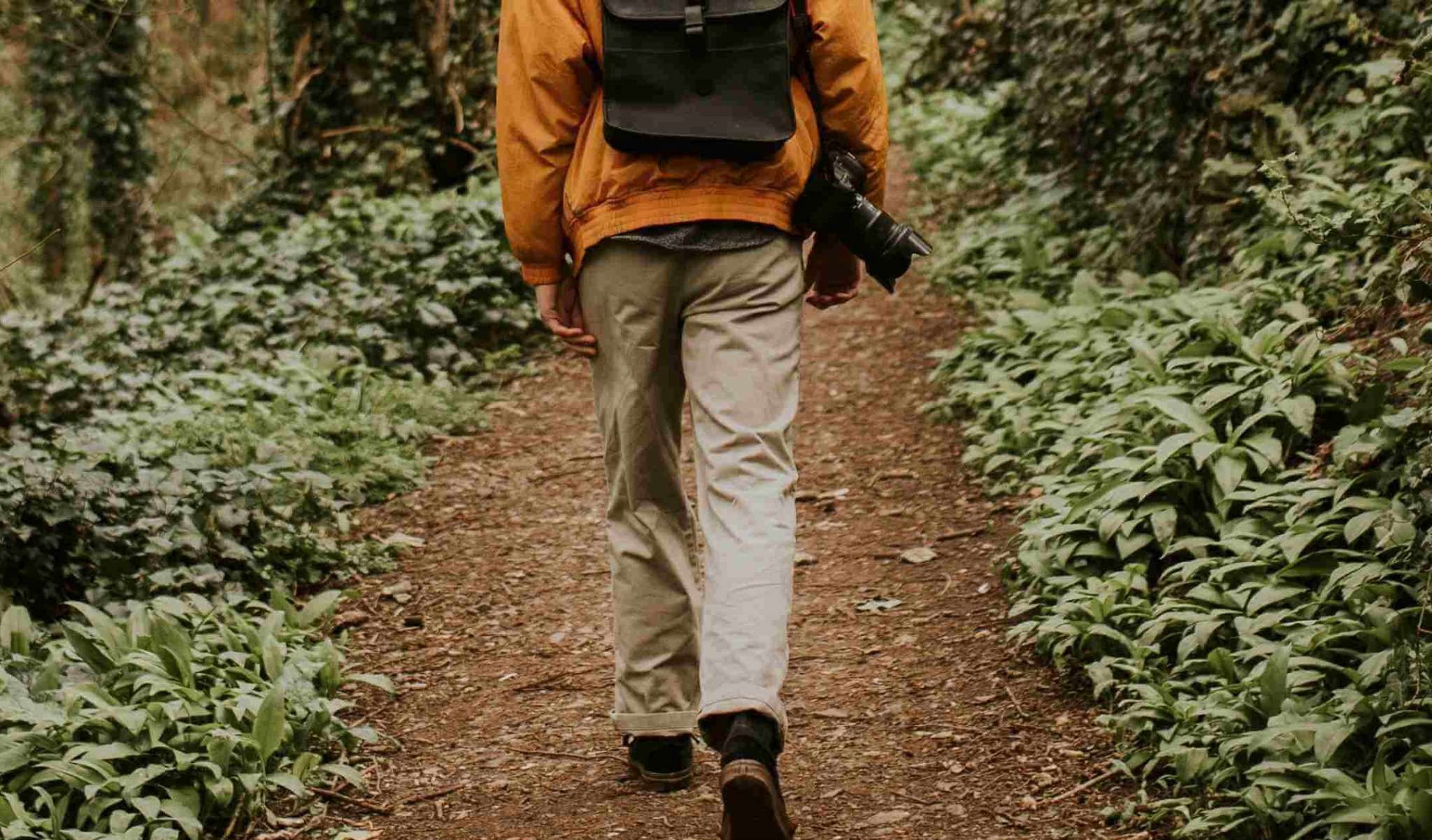 Best Dove Hunting Gear You Must Have For 2024 Season Kalkal