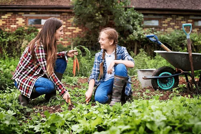how to choose the best garden boots