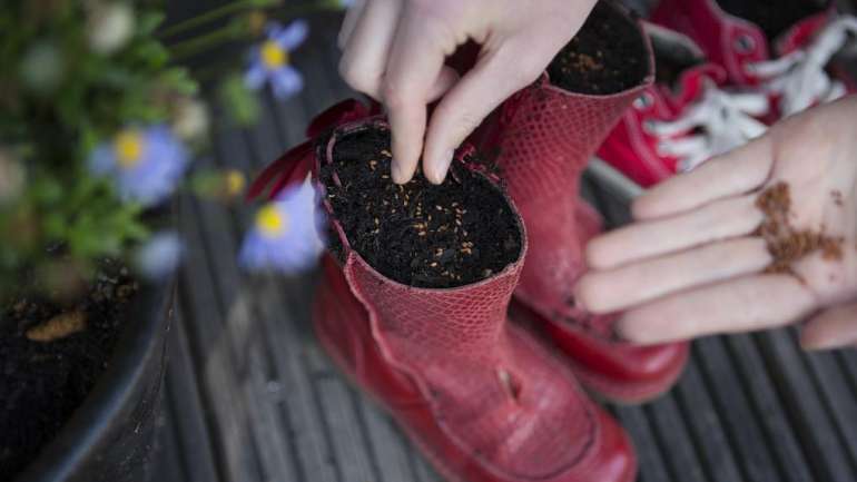 plant flowers in old work boots