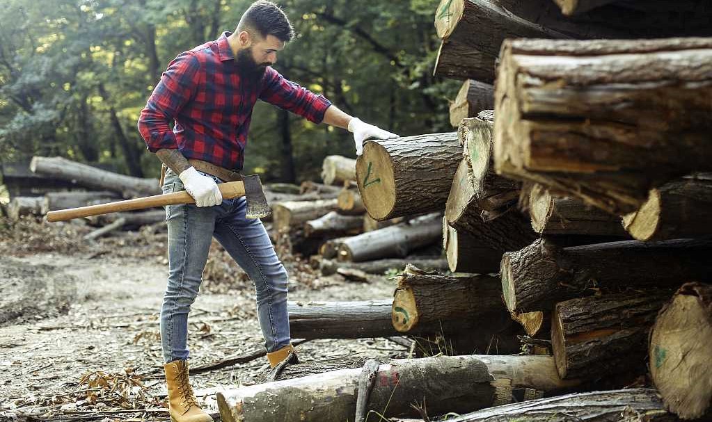 work botos for logging