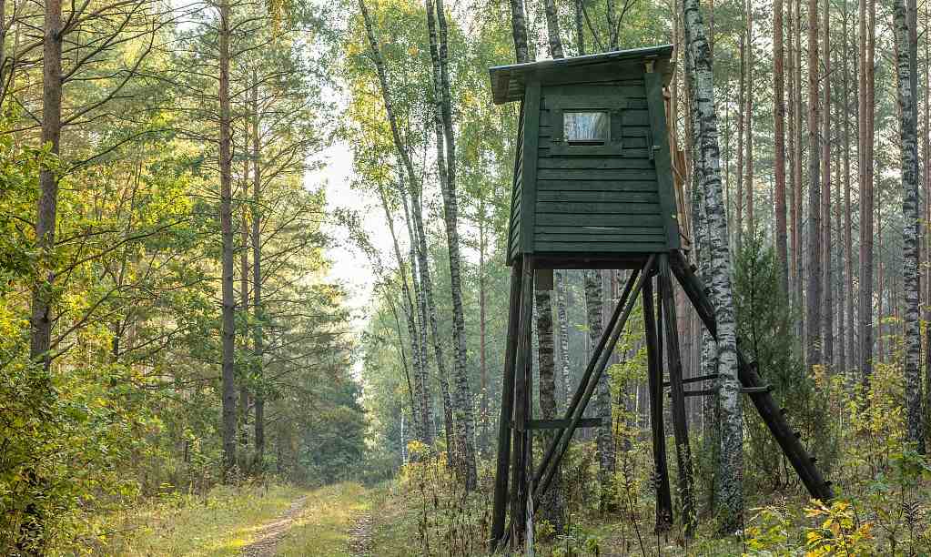 360 hunting blind in the wood