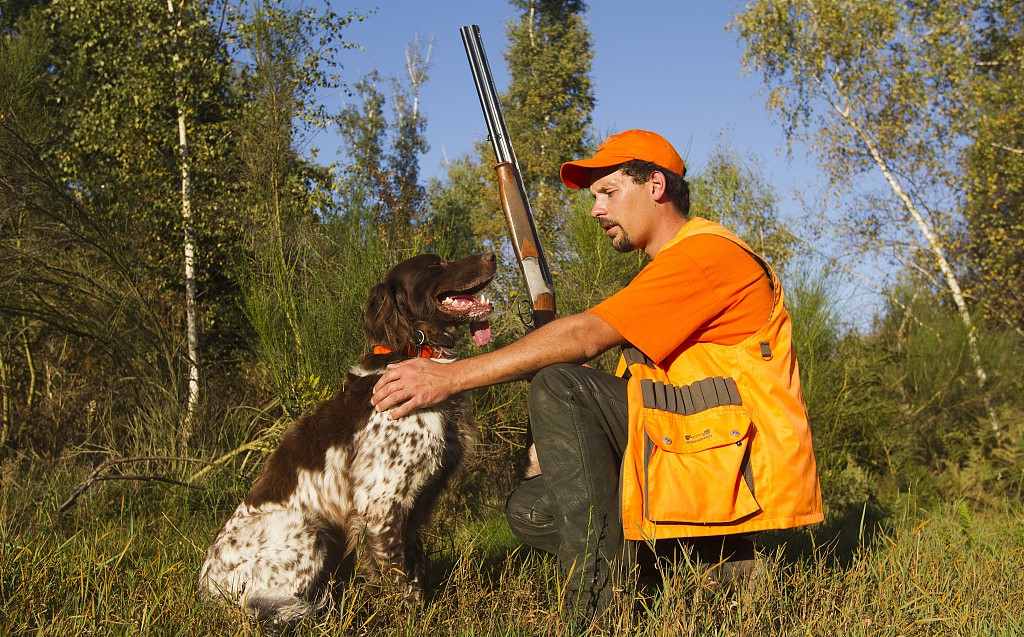 why do hunters wear orange