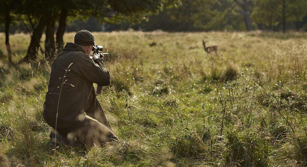 Maine hunting