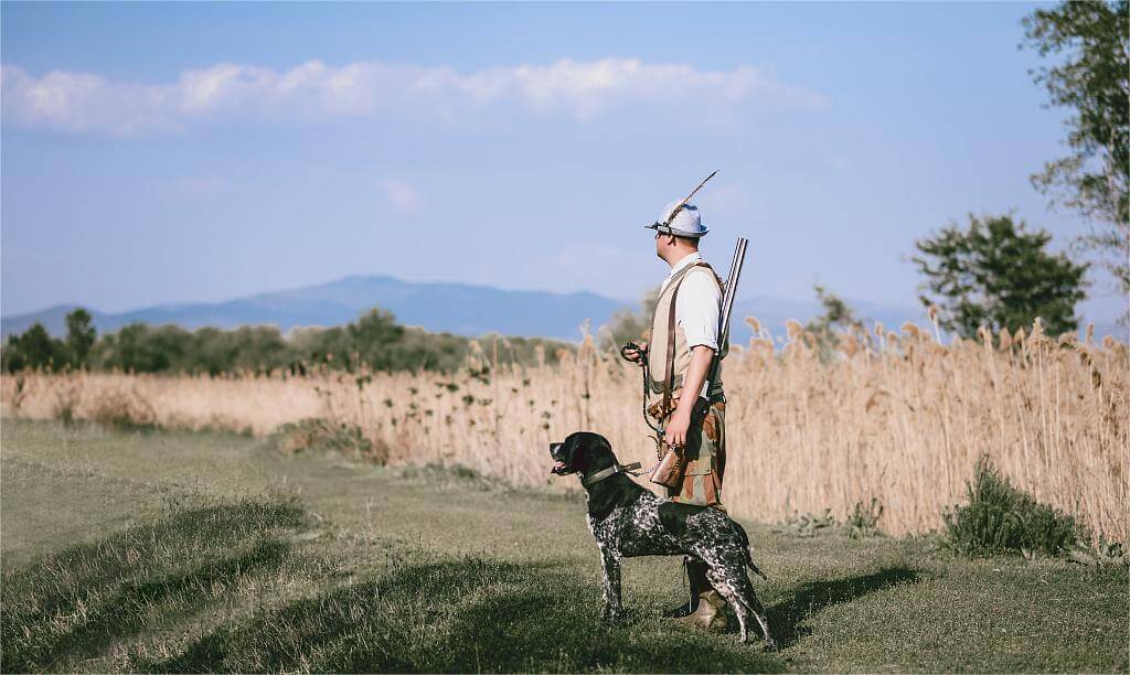 should dogs wear dog hunting boots