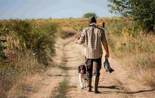 Dove Hunting Season in Georgia