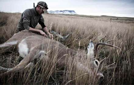California Hunting Seasons 2023-2024: Dates And Limits