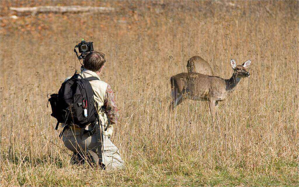 deer hunting in Kentucky