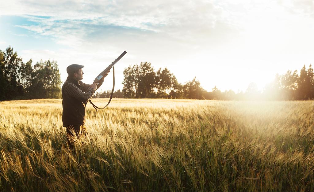 upland bird hunting