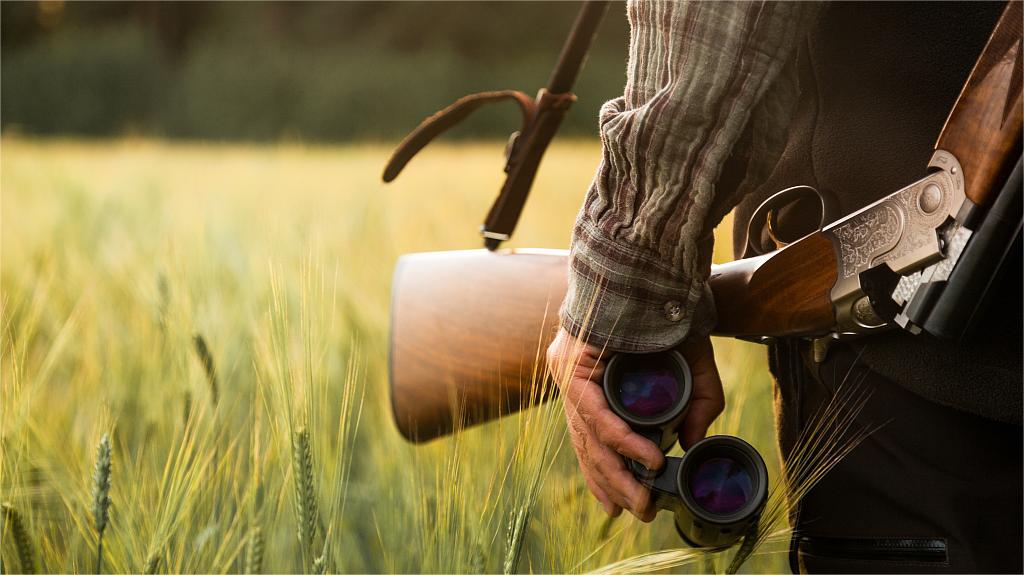 best binoculars for hunting