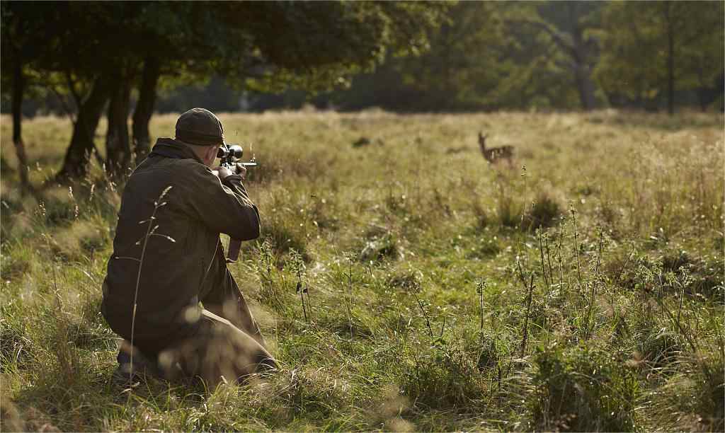 hunt in Illinois Deer Season