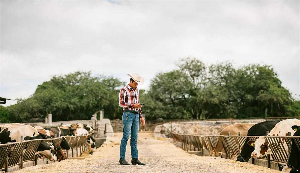 wear cowboy boots on the farm