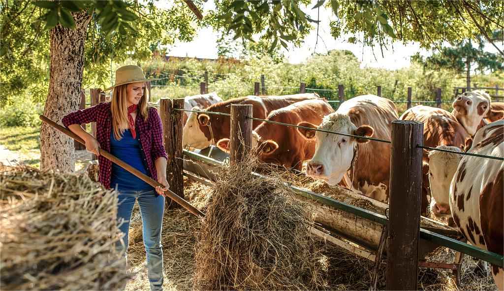 ranch and farm