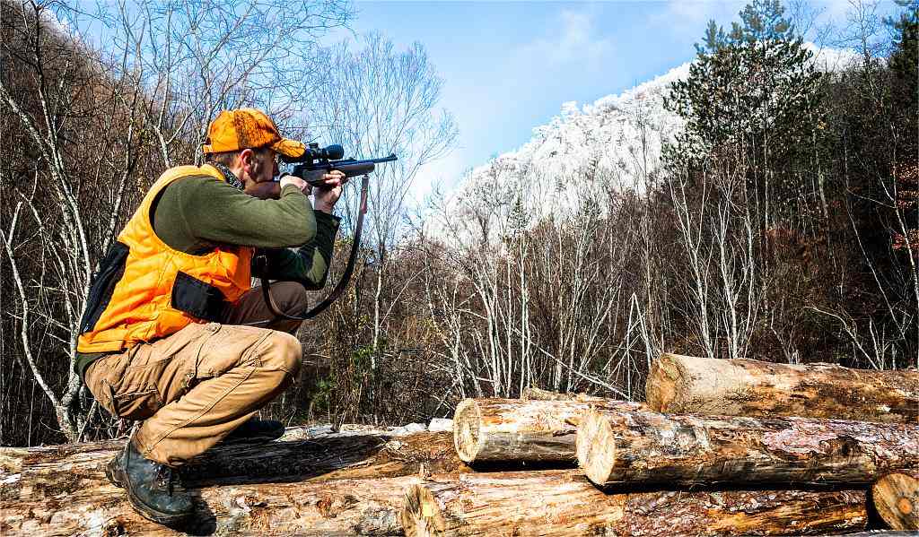 hunt in Alaska