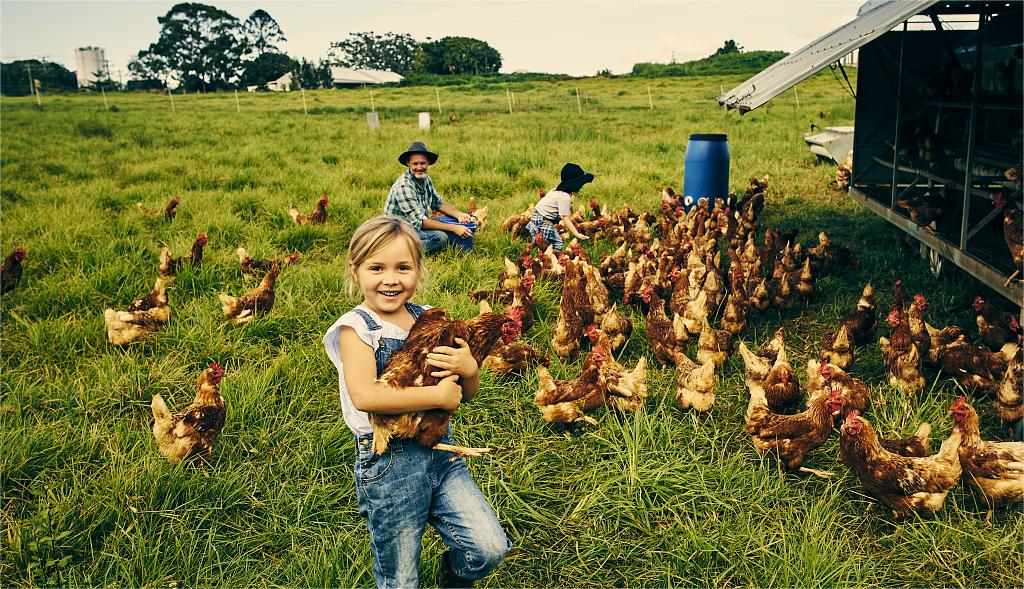 work in farmstead