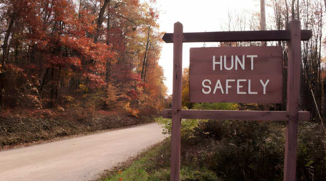 hunting laws in the hunt