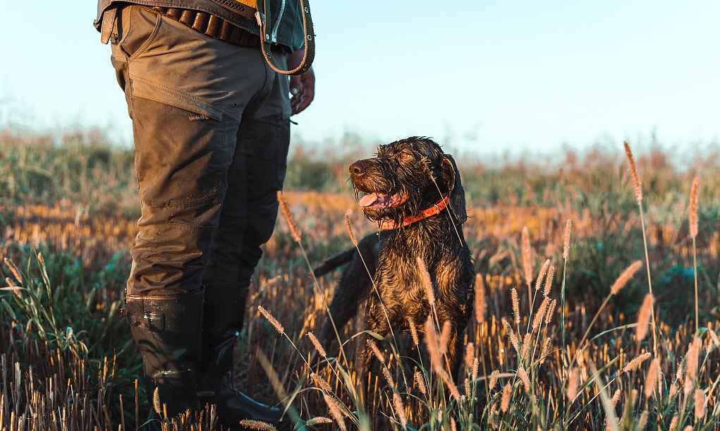 a hunter with a poodle dog