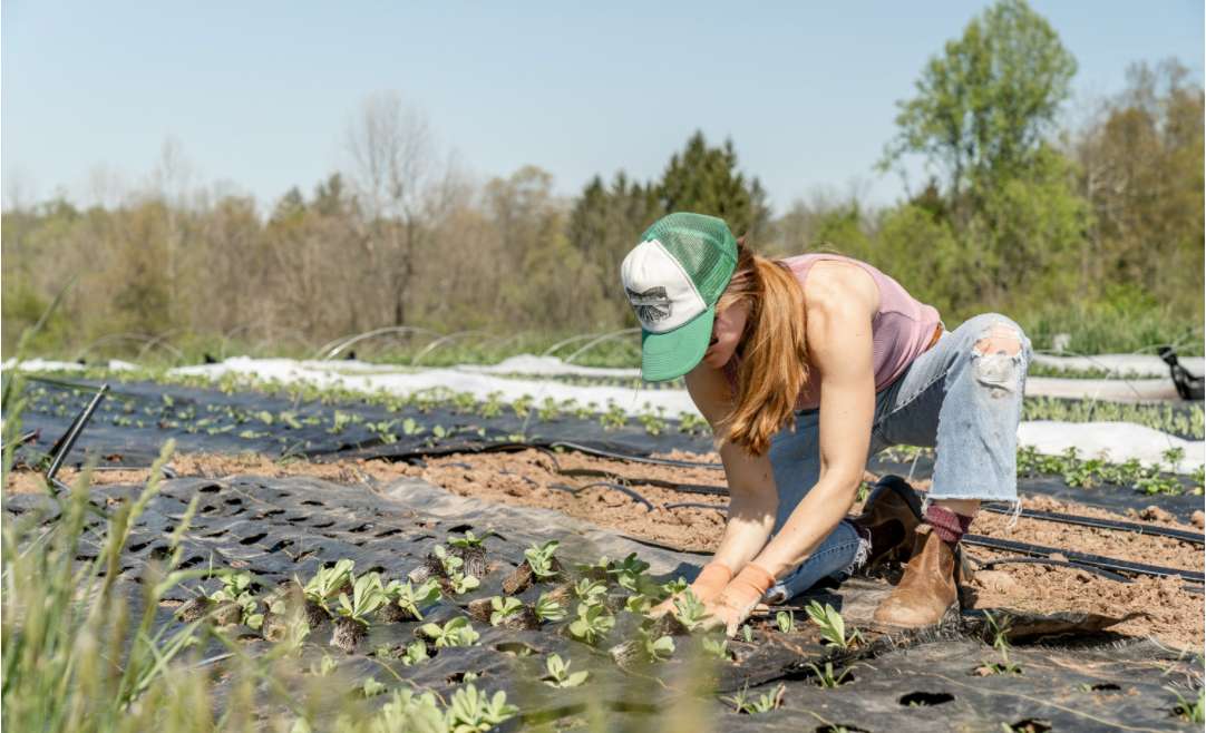 doing farm work