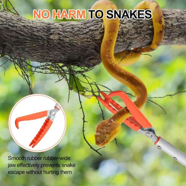 tools for catching snakes