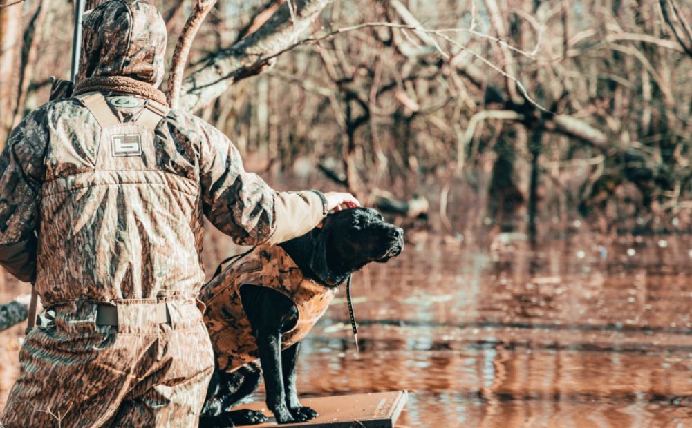 hunter and labrador hunting dog