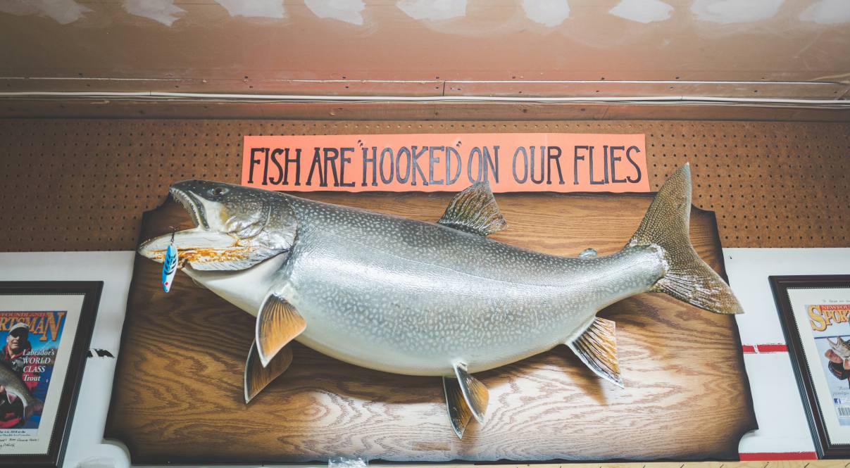 a fish Taxidermy