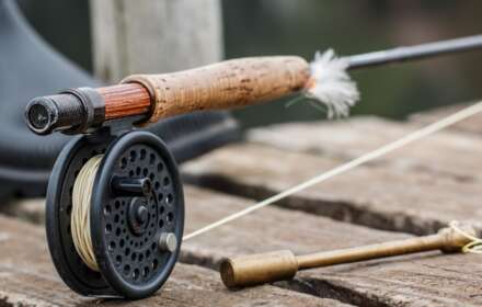 20 Proven Ways To Get Free Fishing Stuff