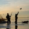 united state hunting seasons state by state