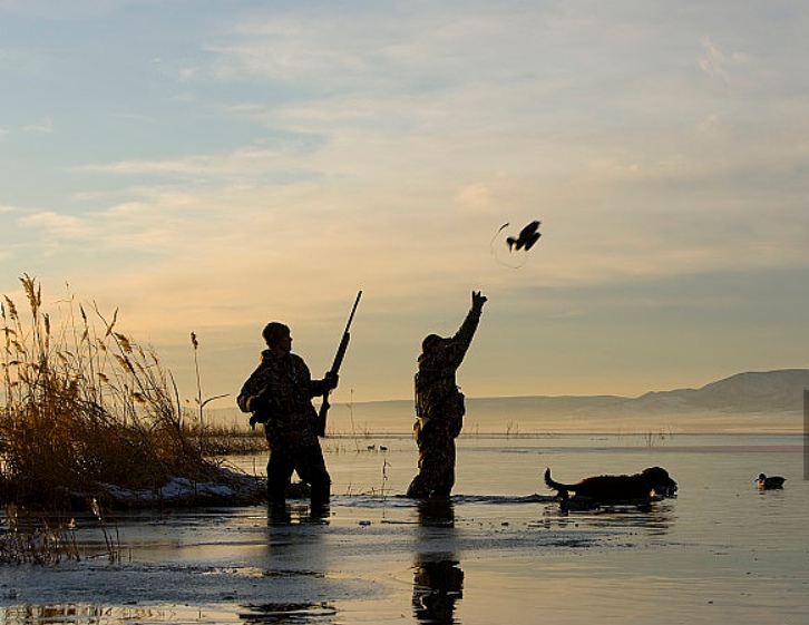 Massachusetts Hunting Season Schedule at Tammy Horst blog