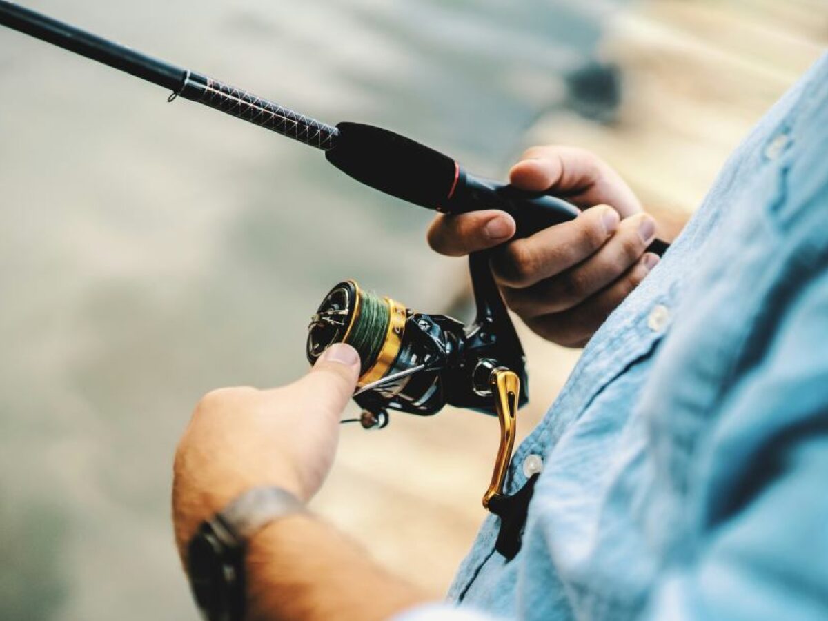 new penn fierce ii 8000 spinning reel live liner frcii8000ll Penn Fierce II 8000 Spinning Reel (A)