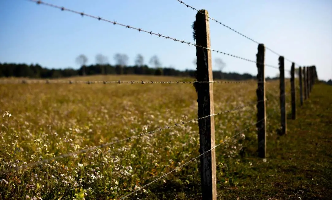hunting in high fence area