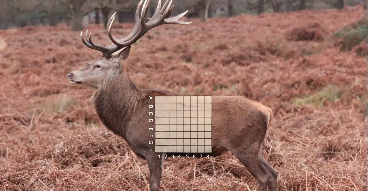 deer shot placement chart showing heart and lung vital zone