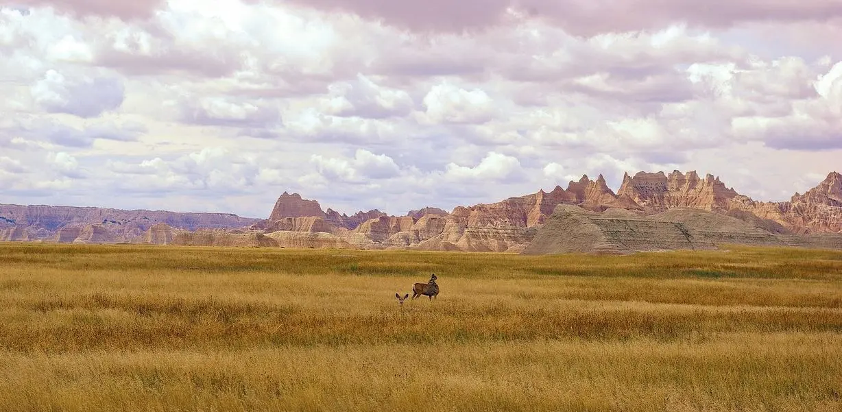 North Dakota wild lands