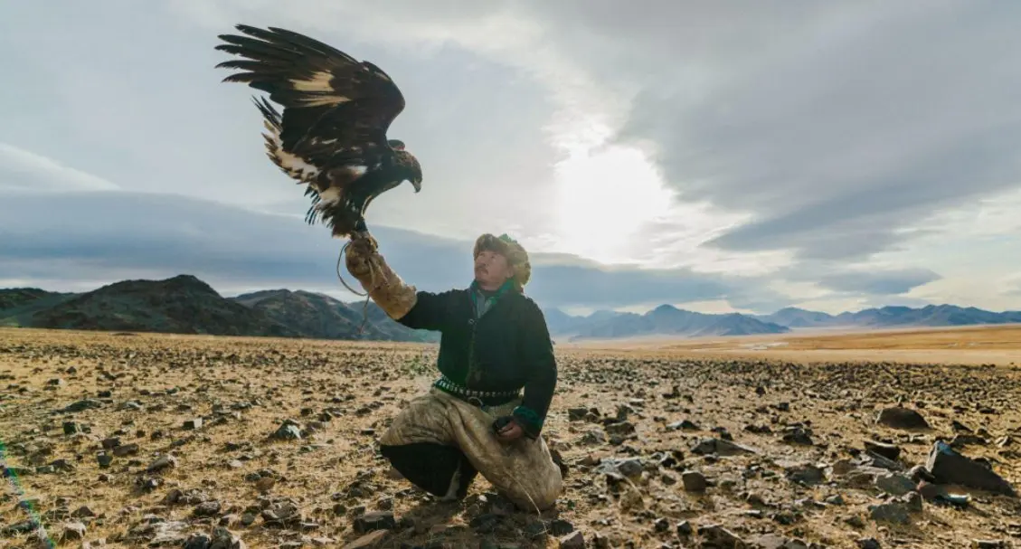Falconry hunting - a Falconor with his bird