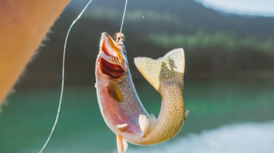 go fishing in Idaho fishing season