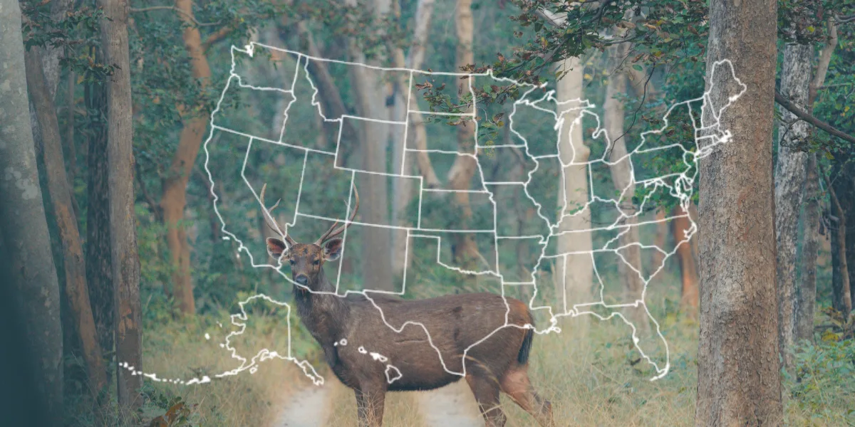 US hunting season schedules with map