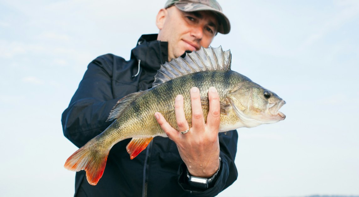 a man is catching a fish with hands