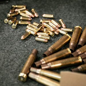 different hog hunting calibers
