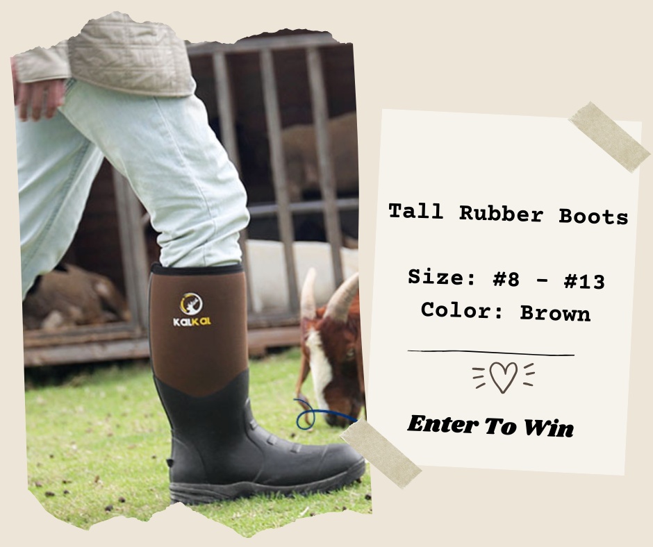 Kalkal Rubber Boot Giveaway