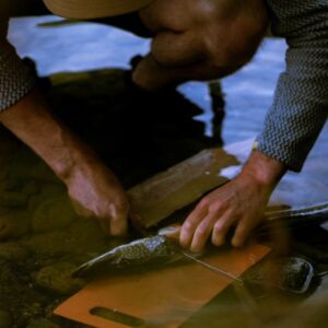 a fisherman is cleaning a fish