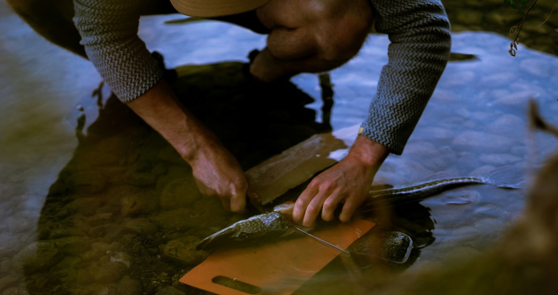 a fisherman is cleaning a fish