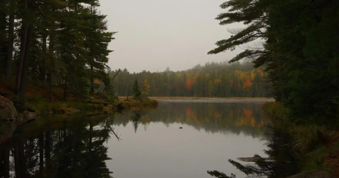 Algonquin Park in Canada