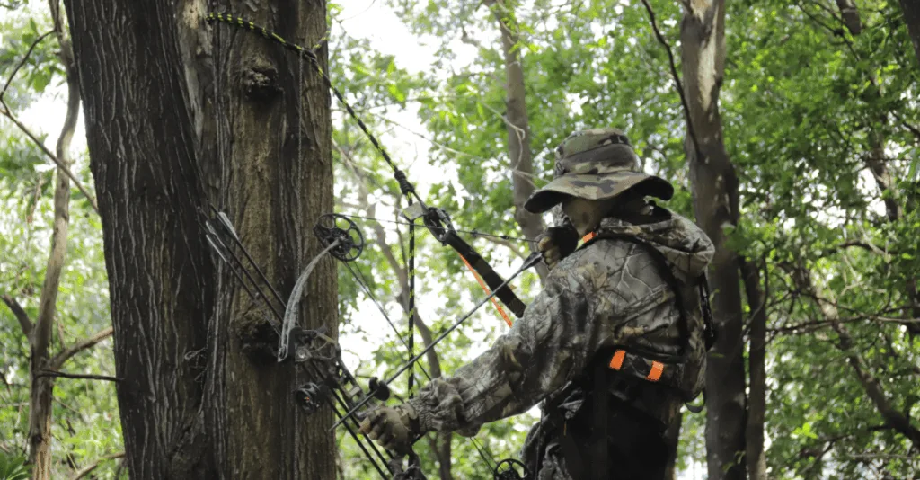 a hunter climbs up the tree with a lineman's rope