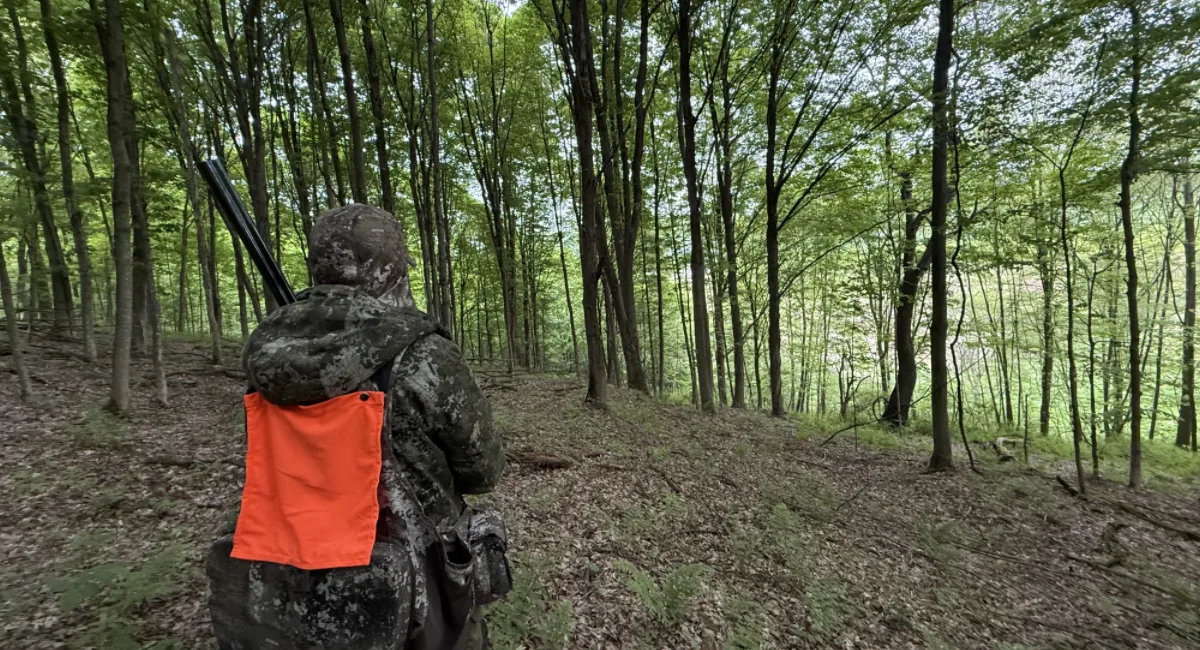 wearing a turkey vest with orange flat for spring season hunting